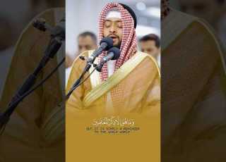  أواخر سورة القلم احمد النفيس