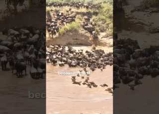  Deadliest River Crossing On Earth