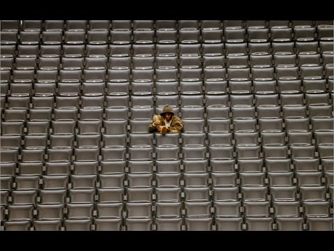 YoungBoy Never Broke Again Shark Official Music Video