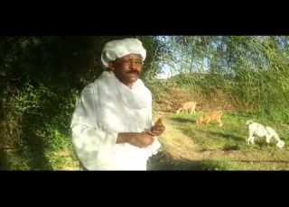 قصيدة أرون بتان للشاعر النوبي عبد اللطيف سيد احمد