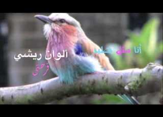  أنا مثل طير بدون إيقاع ٢٠١٣ HD تصميم فيثاغورسة العرب