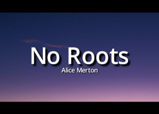 Alice Merton No Roots Lyrics Tiktok Song A Thousand Times