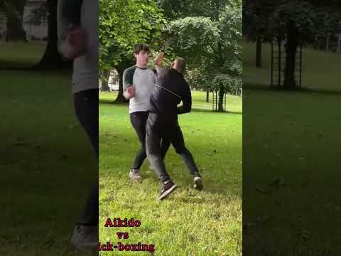 AIKIDO Vs KICKBOXER