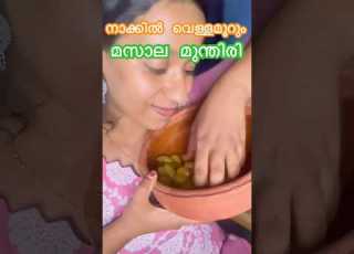  Try Aak Nokk Guyz Trending Food Trendingshorts Foodie Fypシ Viral Minivlog