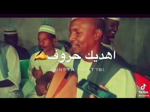 إلي مسافرة يا حليلو كان ناوي السفر إلي مسافرة يا حليلو كان ناوي السفر