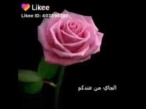 مشتاق شم النسيم الجاي من عندكم