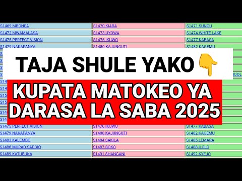 MATOKEO YA DARASA LA SABA YA 2025 BOFYA HII LINK KUONA MATOKEO
