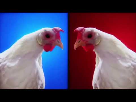 Techno Chicken Song Geco Remix 1 Hour