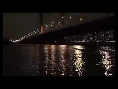 مصطفي مصطفي رنه هاتف