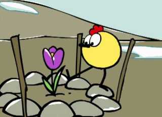  Peep And The Big Wide World Spring Thing