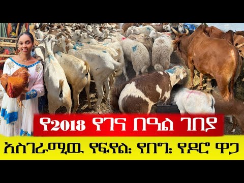 አስገራሚዉ የ2018 የገና በዓል ገበያ ዋጋ 2018 Ethiopian Christmas Holiday Market Prices አስገራሚዉ የ2018 የገና በዓል ገበያ ዋጋ 2018 Ethiopian Christmas Holiday Market Prices
