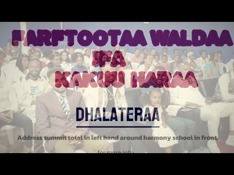 Faarffattoota Waldaa Ifa Kakuu Haaraa Tv Kiristoos Nuuf Dhalateera Faarffattoota Waldaa Ifa Kakuu Haaraa Tv Kiristoos Nuuf Dhalateera