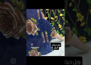 ويل ديجتل 4 ريال