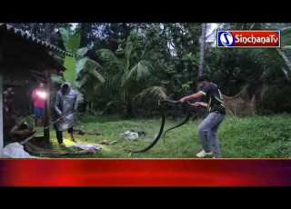 A 12 Feet Long Rattlesnake Was Caught In Marugadde Village Of Ankola Taluk