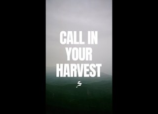 Call In Your Harvest