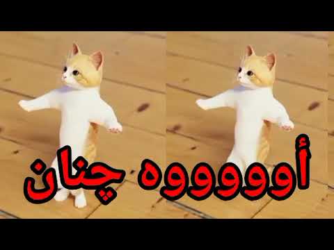 اغنية باسم جنان الحلوة جنان جنان السعودية الكويت العراق تركيا قطر لبحرين الجزائر دبي جدة جده الرياض