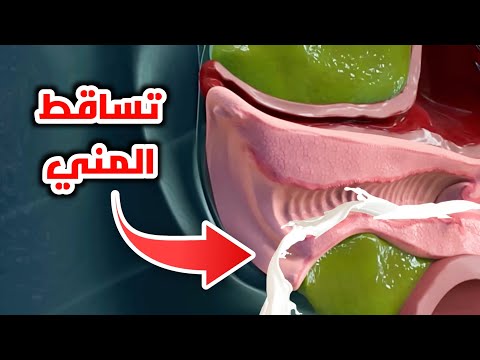 تساقط السائل المنوي من المهبل بعد الجماع Semen Leakage From Vagina After Intercourse تساقط السائل المنوي من المهبل بعد الجماع Semen Leakage From Vagina After Intercourse