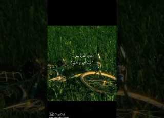 ليت امي لن تلدني استوري انستا باسم الكربلائي لايك اشتراك