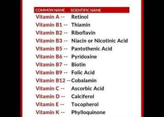  Scientific Name Of Vitamins