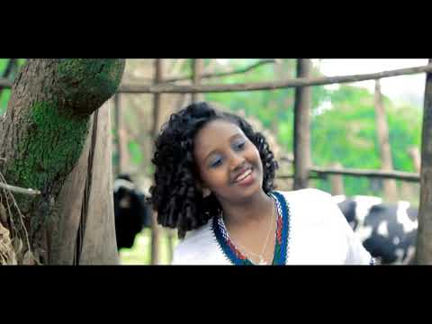 Ethiopia Mistre Manalimosh Dibo Dimam Sew NEW Ethiopian Music Video 20161