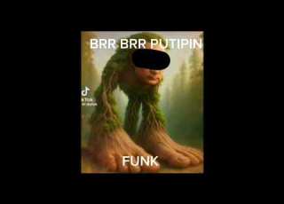 BRR BRR PUTIPIN FUNK Ultra Slowed