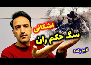 دفینه سگ حکم ران اشکانی کجاست