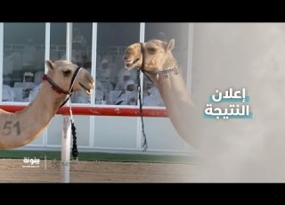  لحظة إعلان النتيجة في شوط مفاريد تلاد لابناء القبائل 2 محليات مهرجان الظفرة