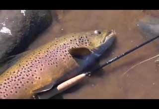 صید قزل آلا به روش فلای فیشینگ