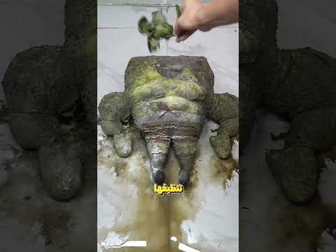 تنظيف الدمية المتسخة Shorts