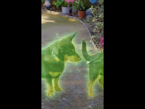 يقدم فيلم It Yourself Bub The Ghost Dog إلى مشهد حي من وراء الشاشة الخضراء يقدم فيلم It Yourself Bub The Ghost Dog إلى مشهد حي من وراء الشاشة الخضراء