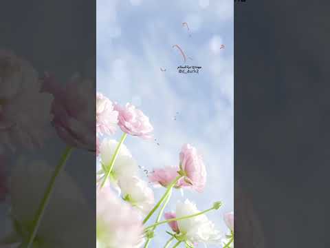 غردي ياروح أحمد النفيس