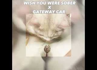  Wish You Were Sober X Gateway Car TAYLOR SWIFT CONAN GRAY Sped Up