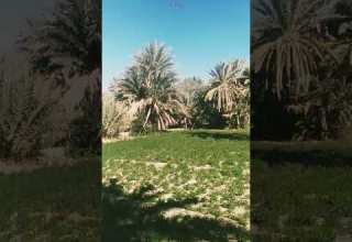 دعاء يوم الخميس إنشاءالله