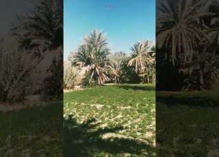 دعاء يوم الخميس إنشاءالله