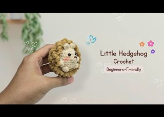 Watch This Tiny Hedgehog Come To Life Crochet Magic