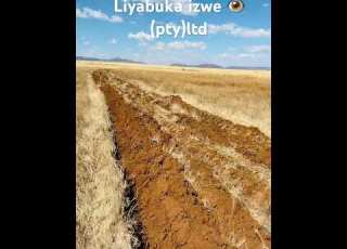 Soil Preparation Agriculture Agriculturefarming Agro Farming Liyabuka Izwe
