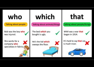  Who و Which أم That ما الفرق بينها