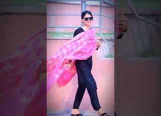 Dilwale Gailu Le Gailu Bhojpuri Song Shortsfeed Youtubeshorts Dance
