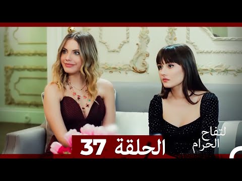 التفاح الحرام الحلقة ال 37 Arabic Dubbed HD