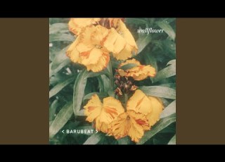 Wallflower