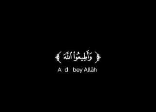 كروما شاشة سوداء قرآن كريم تلاوة من سورة التغابن القارئ طارق محمد