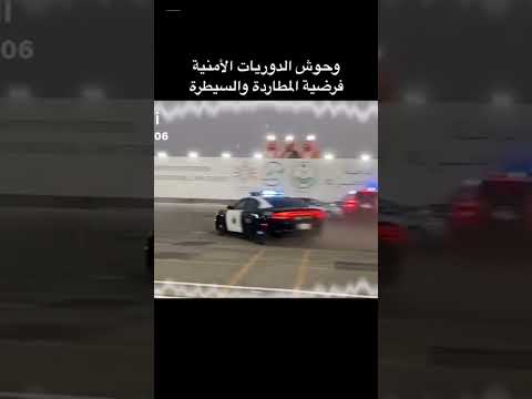 وحوش الدوريات الامنيه فرضية المطاردة والسيطرة وحوش الدوريات الامنيه فرضية المطاردة والسيطرة