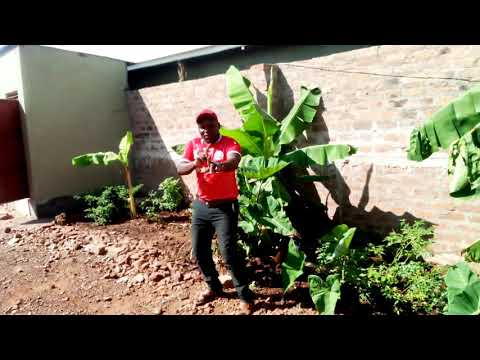 KADO CHIZA CHA PAKAZI