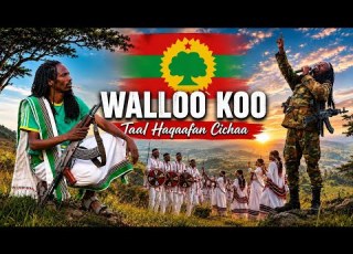  Wallee WALLOO KOO Jedhu Guutuun Isaa Kunooti JL Haqaafan Cichaa N Hagayya 26 2026