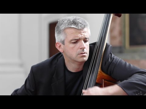 SCHUBERT Arpeggione Sonata 1st Mov Božo Paradžik Mira Wollmann