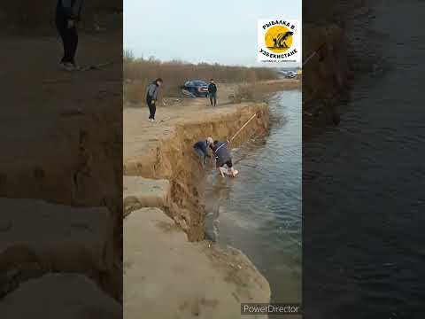 ЭТОТ ВИДЕО ВЗОРВАЛ ПРОСМОТР В ЮТУБЕ ПЕСТРЫЙ РЫБА НА 23 КГ Shortsyoutube