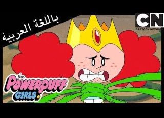 فتيات القوة الناجون كرتون نتورك