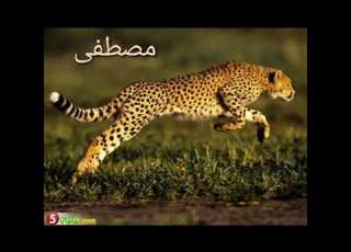  حيوانات حسب أسمك