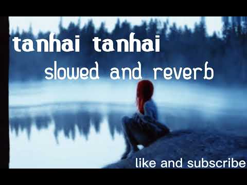 Tanhai Tanhai Madhuri Dixit Shahrukh Khan Udit Narayan Alka Yagnik Koyla 90 S Song