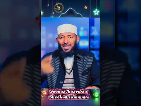 Qisa Namichaa Namaa 99 Fixee Towibachuufi Biyyaa Irraa Demee Qisa Namichaa Namaa 99 Fixee Towibachuufi Biyyaa Irraa Demee